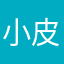 小皮经济