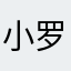 小罗·