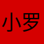 小罗不会飞