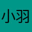 小羽毛22