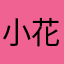 小花的悲惨世界