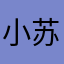 小苏苏丝