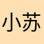 小苏苏苏苏苏苏！