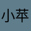 小苹果的大菠萝