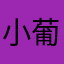 小葡萄151