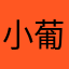 小葡萄cs