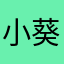 小葵葵999
