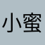 小蜜蜂9153