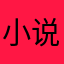 小说了解