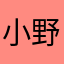 小野丽莎的花