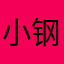 小钢炮女士
