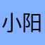 小阳日记