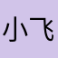小飞侠1919