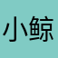 小鲸屿沉没