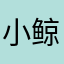 小鲸鱼66666