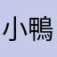 小鴨のママ