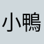 小鴨子你好