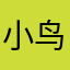 小鸟新游戏
