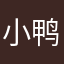 小鸭子说