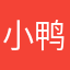小鸭子飞上天31285