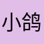 小鸽子闻石头