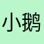 小鹅游泳