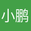 小鹏一个人