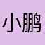 小鹏有2000