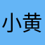 小黄蜂9527