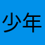 少年代表大会