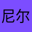 尼尔基d