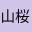 山桜51