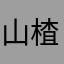 山楂儿