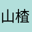 山楂小颗粒