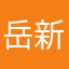 岳新军