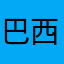 巴西反馈