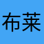 布莱恩大空翼