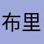 布里兹布罗茨评论家