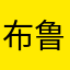 布鲁克斯MS