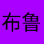 布鲁金世纪f