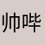 帅哔复仇者