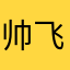 帅飞12