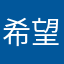 希望下一版做得更好
