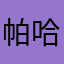 帕哈尔丁·艾尔肯