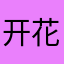 开花店的L小姐