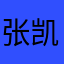 张凯毅