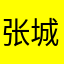 张城智