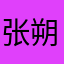 张朔如