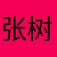 张树国