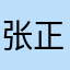张正正41代表团支书